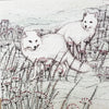 Artic Foxes Greeting Card  | Putti Fine Furnishings