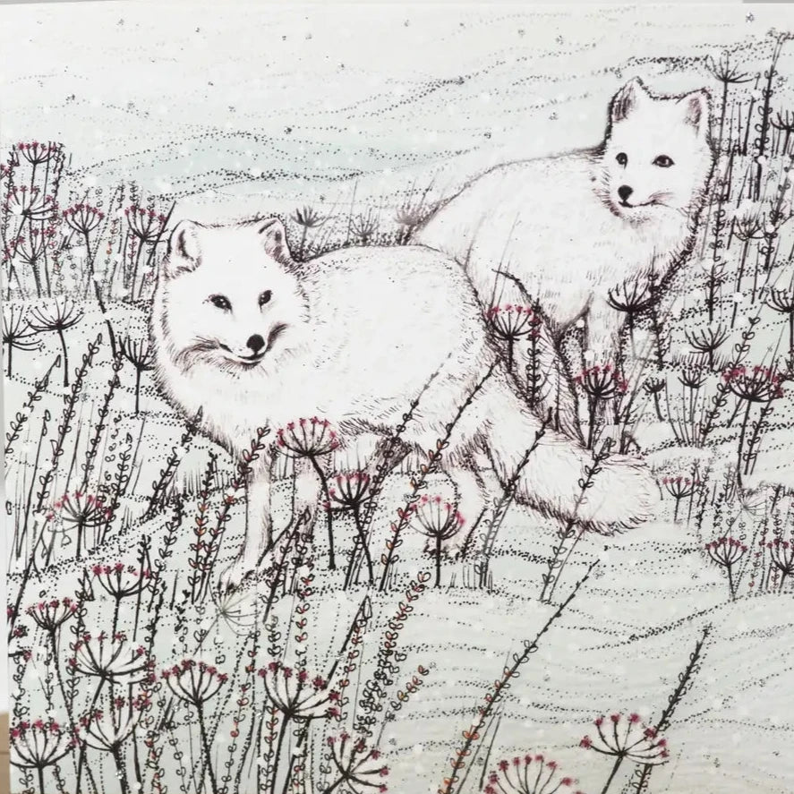 Artic Foxes Greeting Card  | Putti Fine Furnishings 