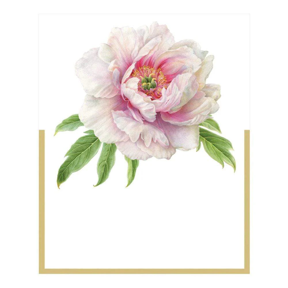 Caspar Blush Peony Place Cards | putti Celebrations Party Supplies 