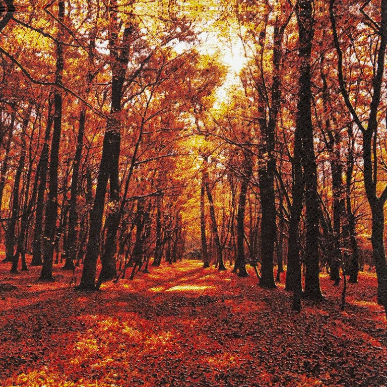 Autumn Forest Paper Lunch Napkins