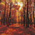 Autumn Forest Paper Lunch Napkins