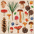 Woodland Whimsy Paper Napkin - Lunch