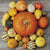 Pumpkin Composition Paper Napkin - Lunch | Putti Celebrations 