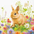 Spring Morning Napkins Paper Napkins - Lunch  | Putti Fine Furnishings 