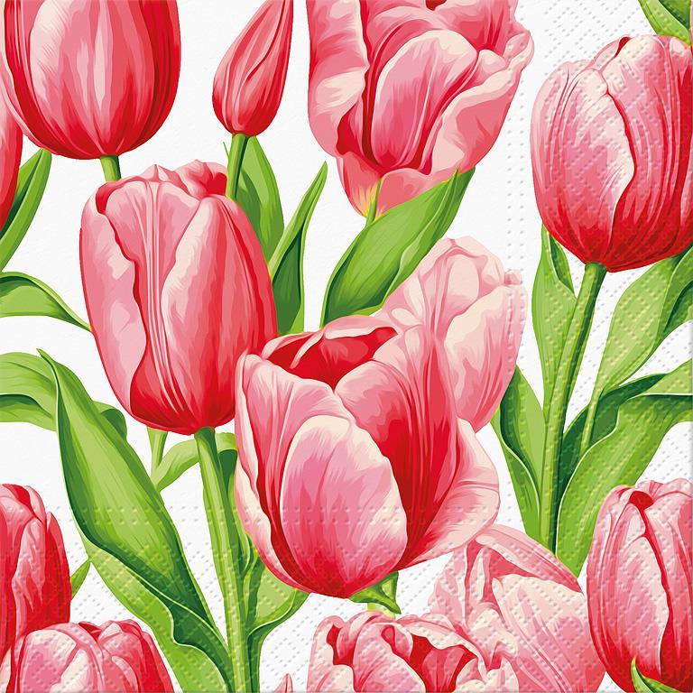 Tulip Time Paper Napkins - Lunch  | Putti Fine Furnishings 