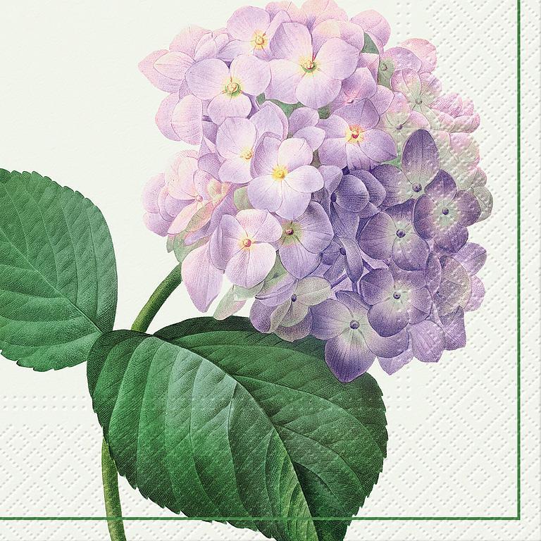 Vintage Hydrangea Napkins  | Putti Fine Furnishings 