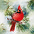 Winter Cardinal Luncheon Napkins | Putti Christmas Celebrations