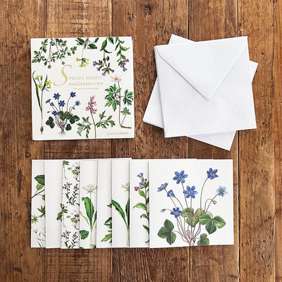 Spring Forest Note Cards