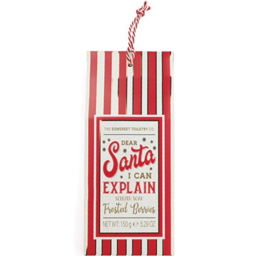 "Santa I Can Explain" Soap