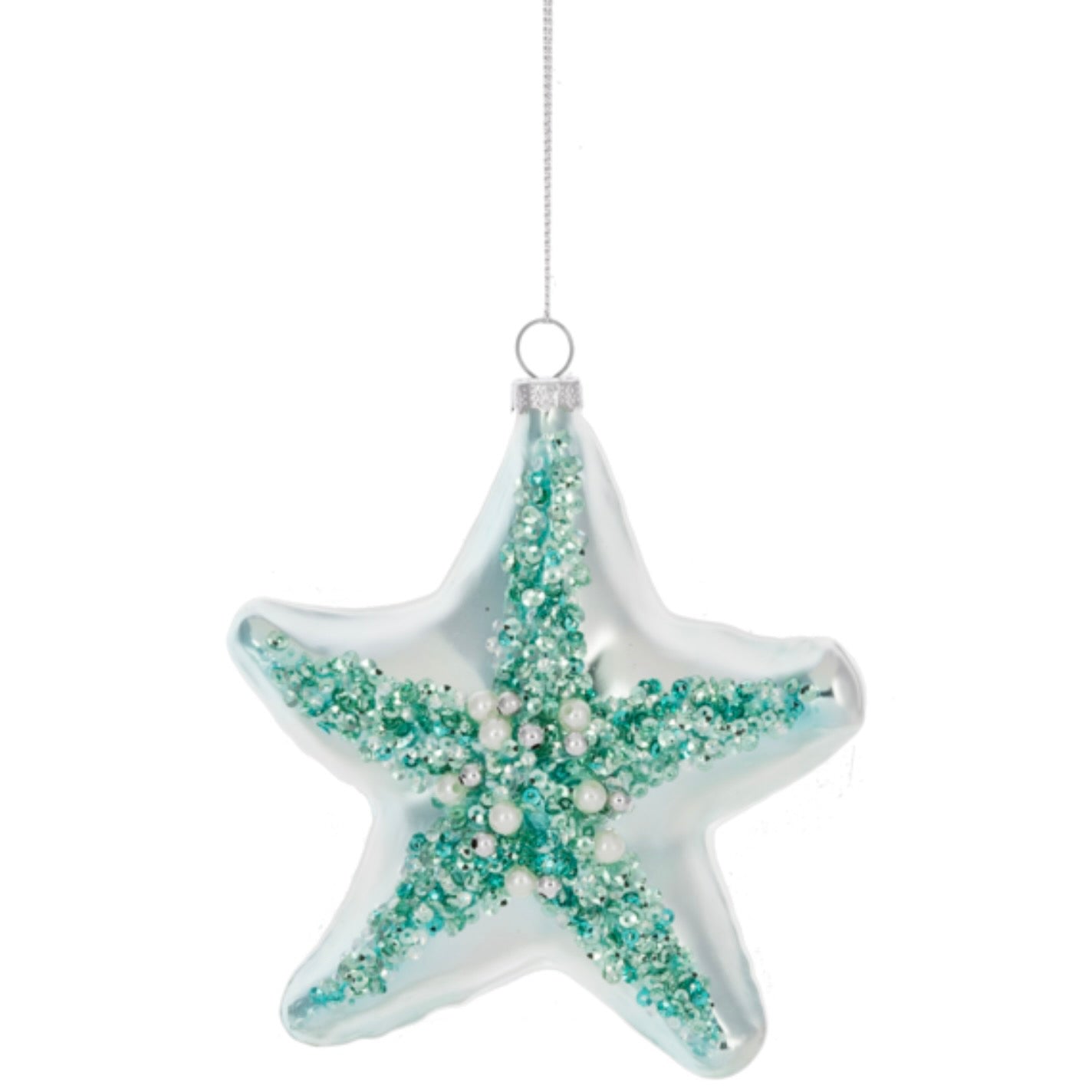 I'm Dreaming of a .... Aqua Christmas