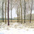 Susan Entwistle Winter Glade Greeting Card | Putti Celebrations 