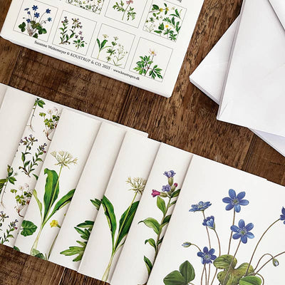 Spring Forest Note Cards