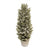 Snowy Fir Topiary