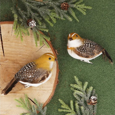 Feather Partridge with Clip | Putti Christmas Decorations