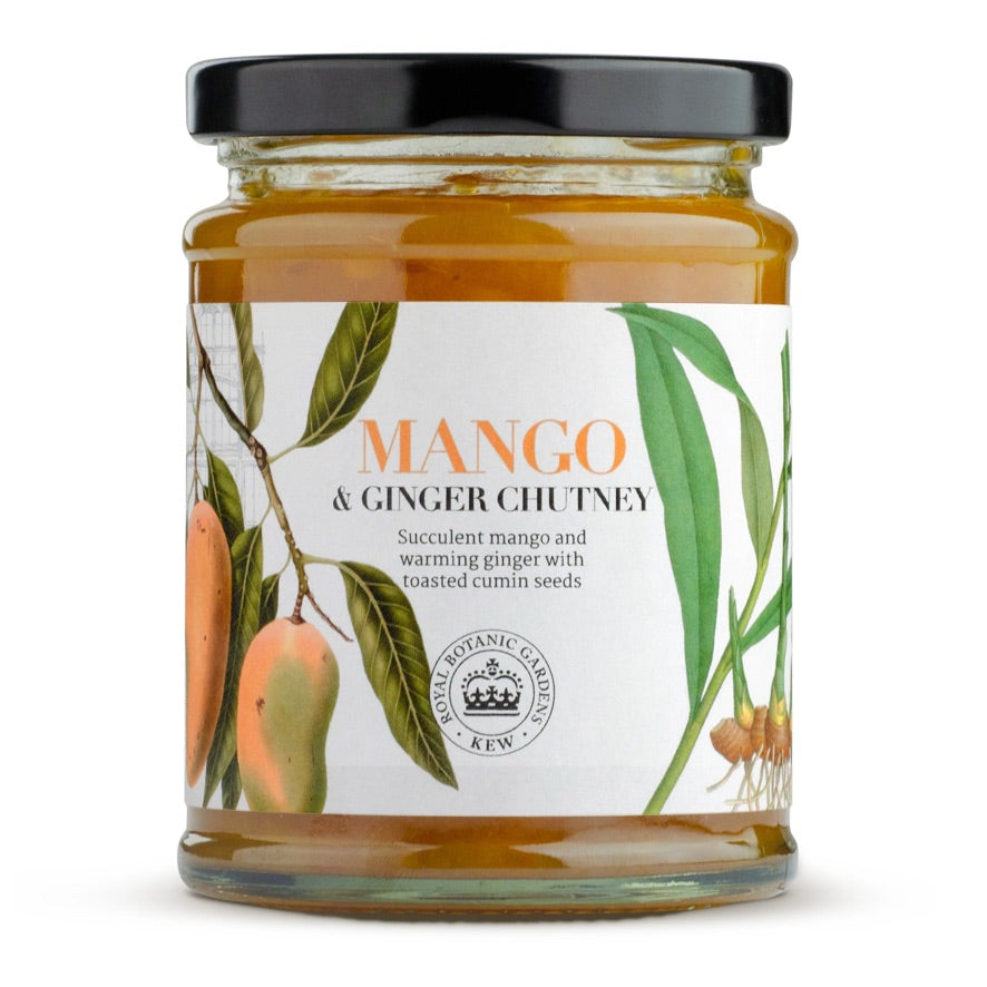 Kew Mango and Ginger Chutney 320g | Putti Fine Furnishings 