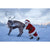 Santa Push Boxed Christmas Cards