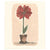 More Joy Red Amaryllis Swedish Cloth | Putti Fine Furnishings 