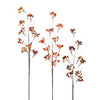 Fall Berry Stem