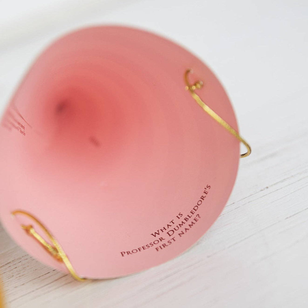 Bonjour Fête Harry Potter House Pride Stripe Party Hats | Putti Party Supplies