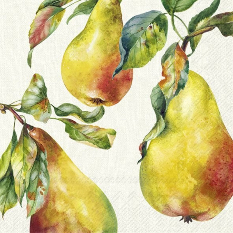 Home Grown Pears Cream Paper Cocktail Napkin | Putti Fall Celebrations 