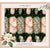 Celebration Uk Laura Ashley Dusky Hellebore Christmas Crackers | Putti Christmas Celebrations 
