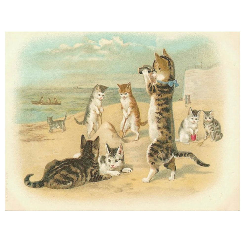Cats on the Beach Little Vintage Greeting Card | Putti 