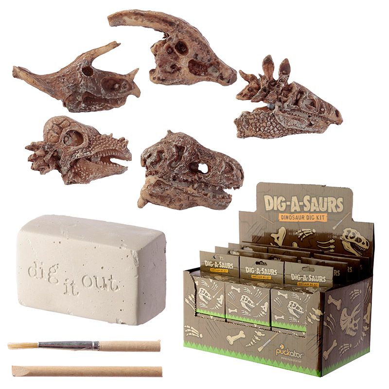 Rawr Dinosaur Skull Fossil Dig-A-Saurs Kit | Le Petite Putti 