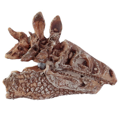 Rawr Dinosaur Skull Fossil Dig-A-Saurs Kit | Le Petite Putti