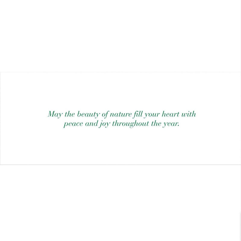 Winter Forest Friends Panoramic Holiday Boxed Cards