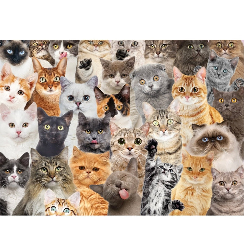 All The Cats Jigsaw Puzzle