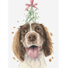 Springer Spaniel with Mistletoe Christmas Greeting Card | Putti Christmas