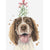 Springer Spaniel with Mistletoe Christmas Greeting Card | Putti Christmas 