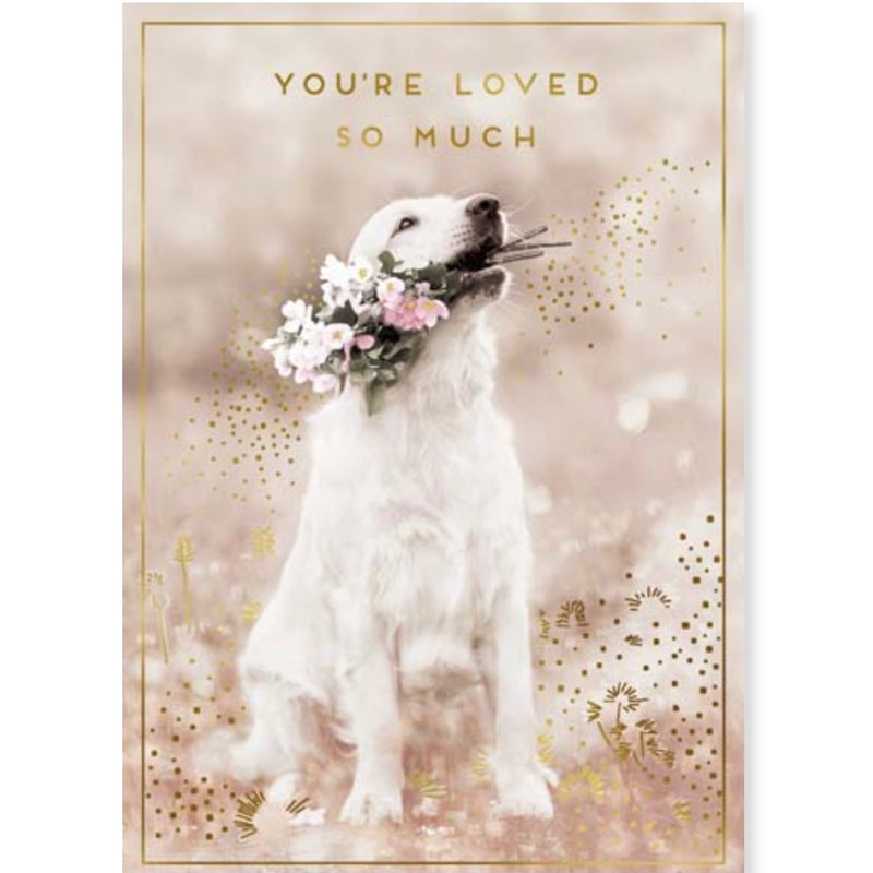 "You're Loved so Much" Greeting Card | Putti Fine Furnishings 