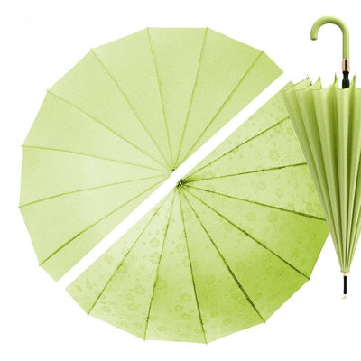 Everyday Classic Colour change Avocado Green | Putti Fine Fashions