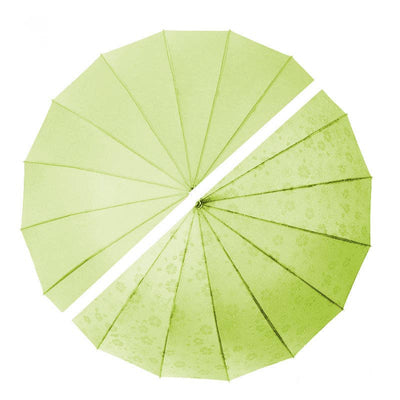 Everyday Classic Colour change Avocado Green | Putti Fine Fashions