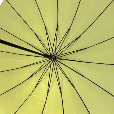 Everyday Classic Colour change Avocado Green | Putti Fine Fashions