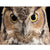 Great Horned Owl Jigsaw Puzzle - 1000 Piece  | Putti Fine Furnishings 