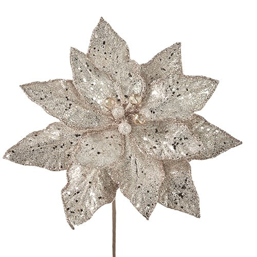 Champagne Glittered Poinsettia Stem  | Putti Christmas Decorations 