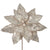 Champagne Glittered Poinsettia Stem  | Putti Christmas Decorations 