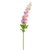 Pink Delphinium Stem