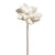 RAZ Imports White Felt Poinsettia Stem | Putti Christmas Celebrations 