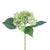 Budding Hydrangea - Green