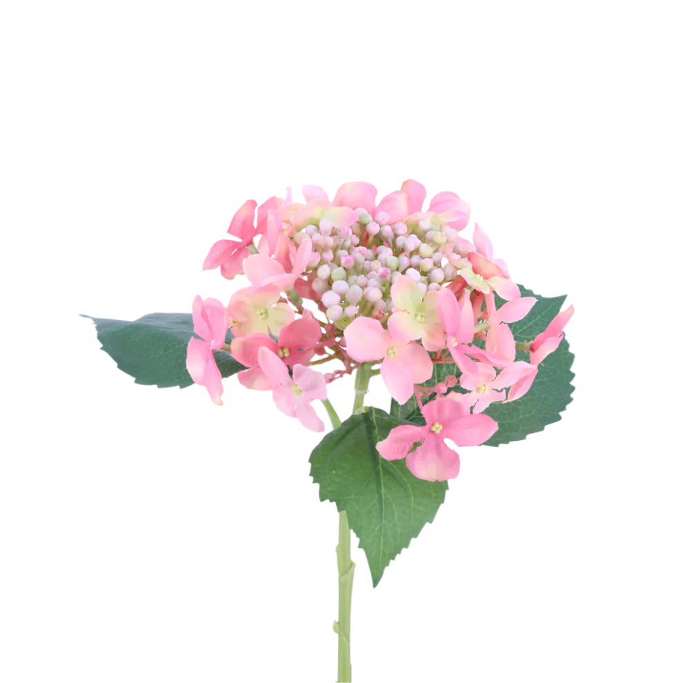 Budding Hydrangea - Pink  | Putti Fine Furnishings 