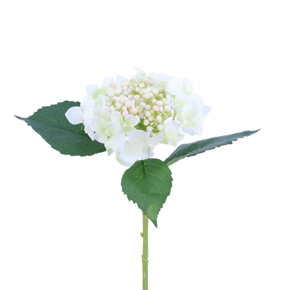 Budding Hydrangea - White | Putti Fine Furnishings 