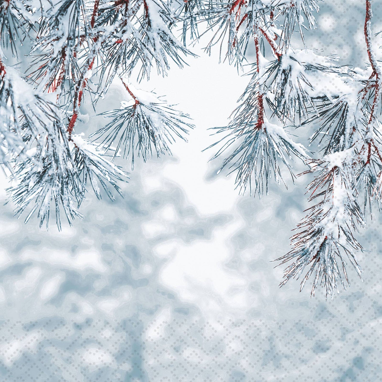 Frosty Pine Paper Lunch Napkin | Putti Christmas Entertaining 