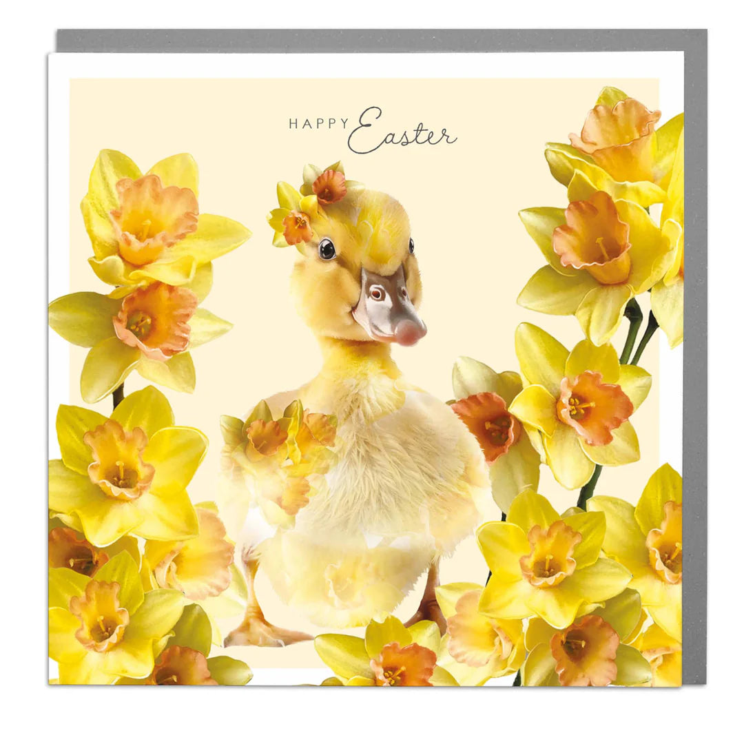 "Happy Easter" Duckling with Daffodils Greeting Card | Putti 