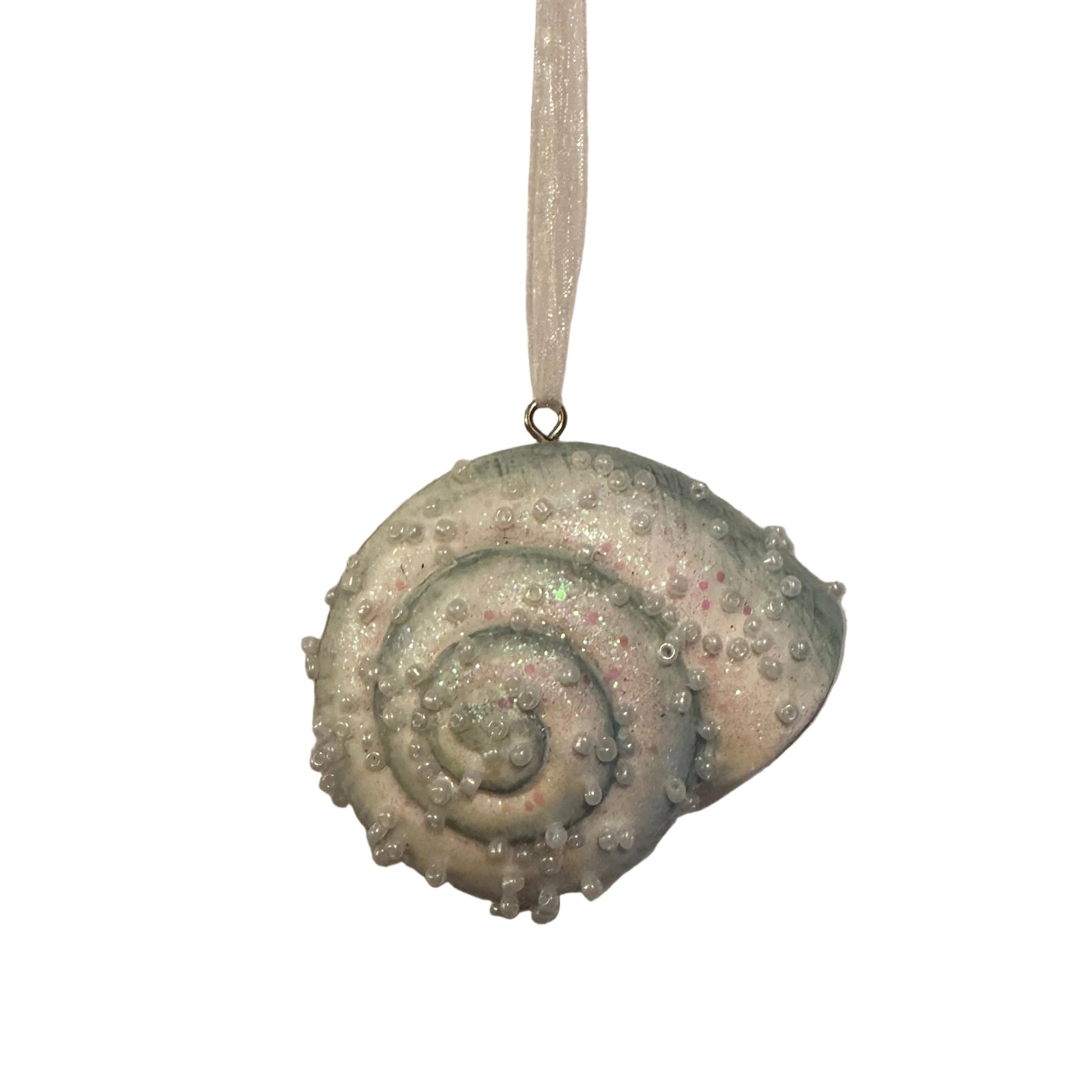 Iridescent Blue Nautilus Shell Ornament