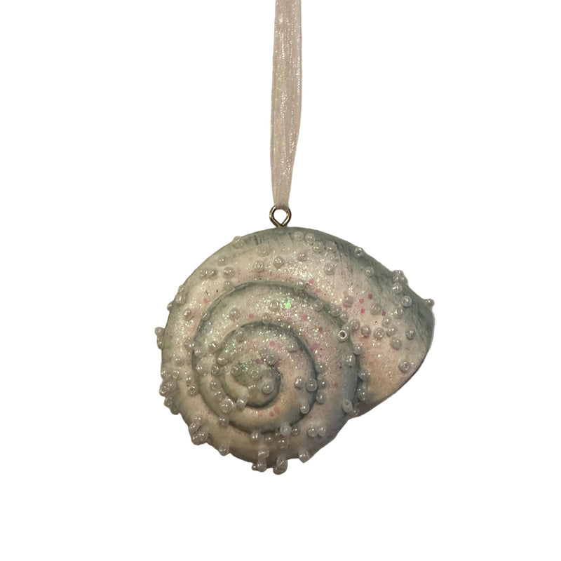 Iridescent Blue Nautilus Shell Ornament