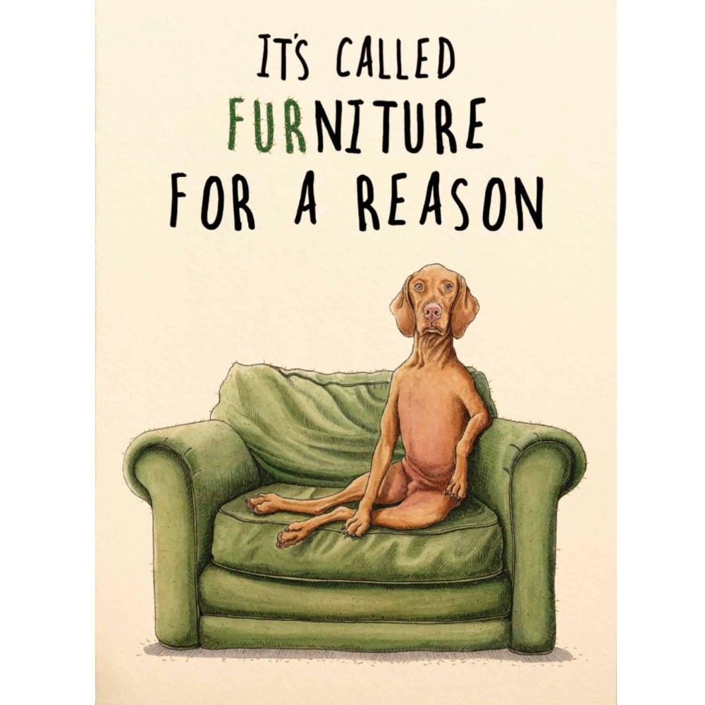 It's called FURniture for a reason" Dog Greeting Card | Putti Greeting Cards Canada 