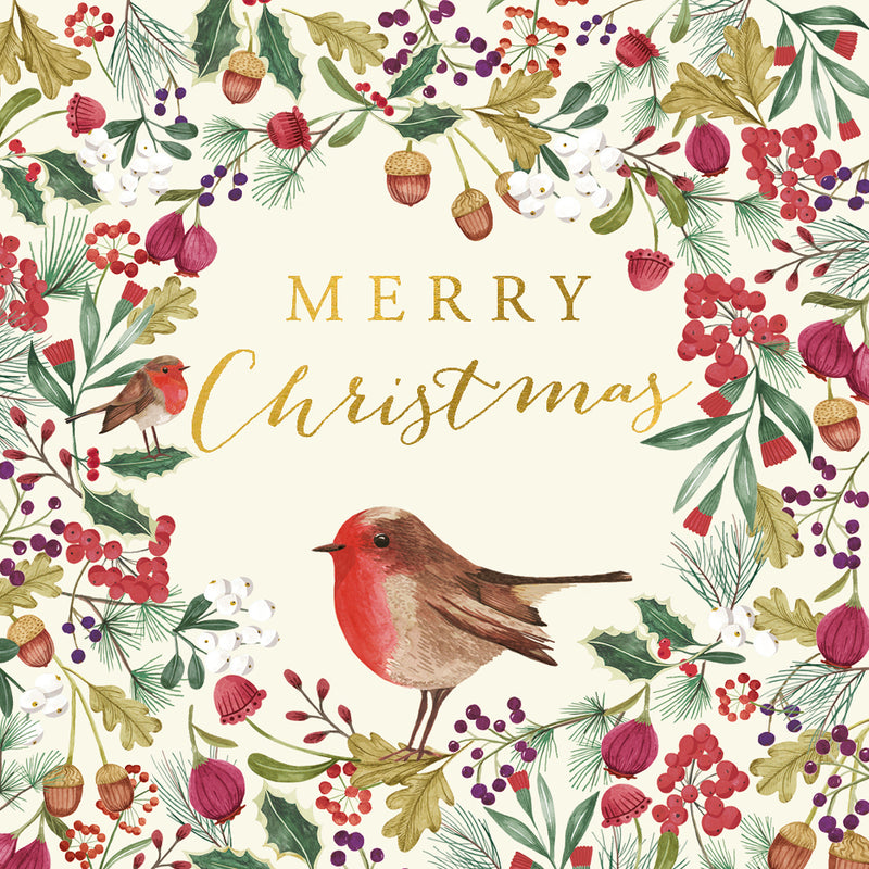 Robin “Merry Christmas” Boxed Christmas Cards